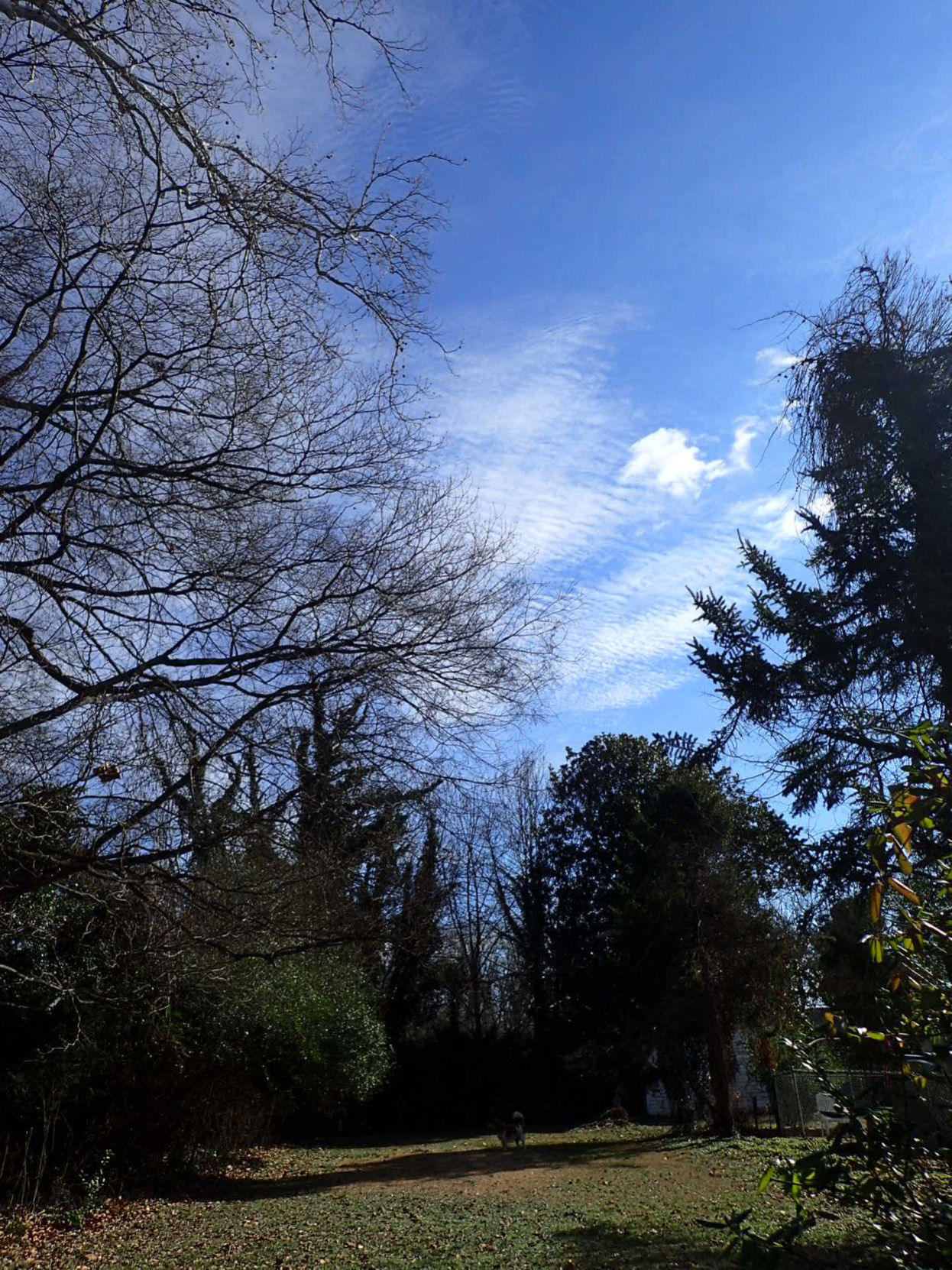 Winter day in Chatham